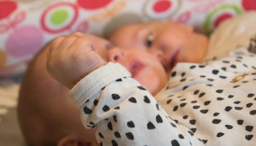 Kinderdam, dé kinderopvang in Rotterdam en omgeving