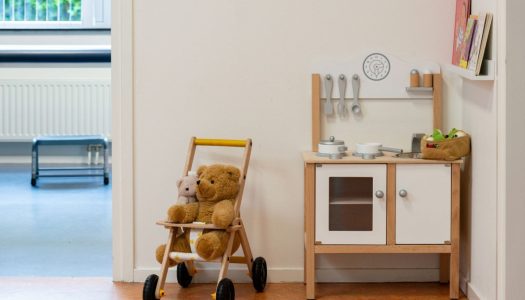 Verloskundigenpraktijk Bonnehûs